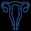 Gynecology Medical Billing Services